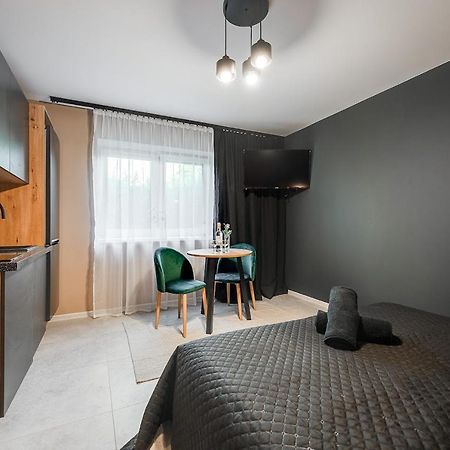 Loft House Apartment Studio Z Ogrodkiem 1 Rybnik  Eksteriør billede