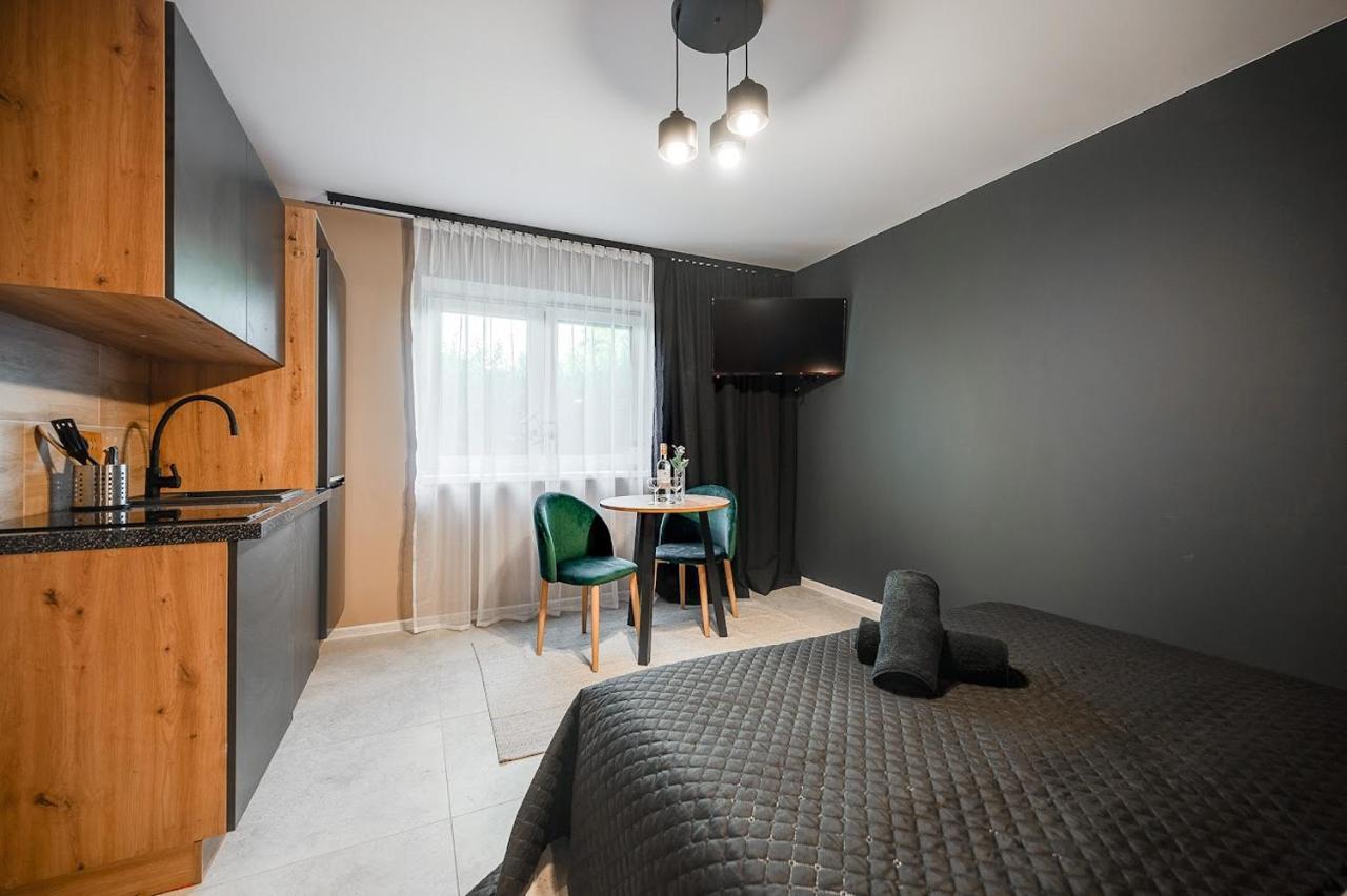 Loft House Apartment Studio Z Ogrodkiem 1 Rybnik  Eksteriør billede